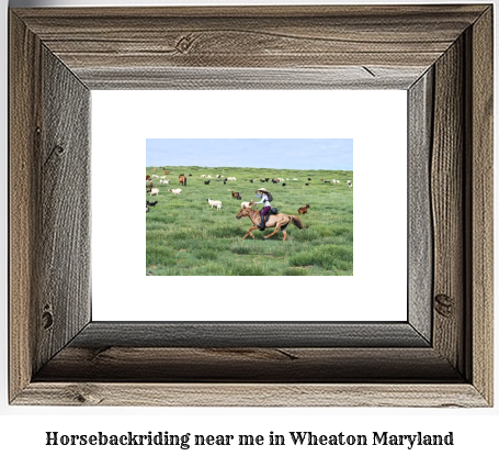 horseback riding near me in Wheaton, Maryland